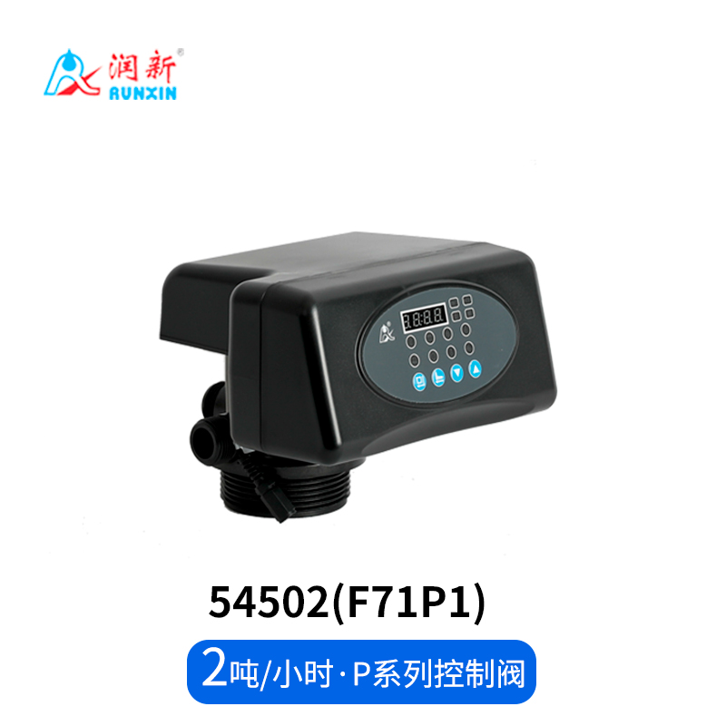 P系列過濾閥54502(F71P1)